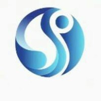 SANI INFOSYSTEMS PRIVATE LIMITED logo - Similar company to Dvmske