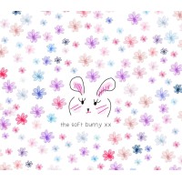The Soft Bunny xx logo - Similar company to Kitchen Possible