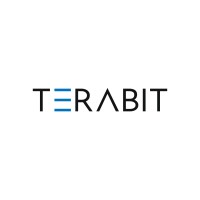 TeraBit IT logo - Similar company to Flutter Xperts