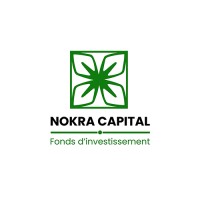 Nokra Capital logo - Similar company to Filiga Advisoring