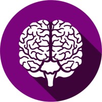 Brainmarker Neurofeedback & neuro-academy logo - Similar company to Dynamisch Bureau B.V.