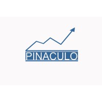 Pinaculo logo - Similar company to Pináculo Digital