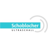 SMT SCHOBLOCHER ULTRASCHALL logo - Similar company to Varitec Ag