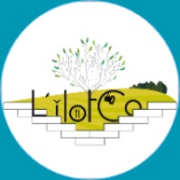 L'îlotCo logo - Similar company to Festival Dev Fest
