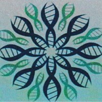 Medizam Healthcare Limited logo - Similar company to Zamedi Diagnostics & Instruments