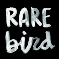 Rare Bird Studios logo - Similar company to Rapt Immersive
