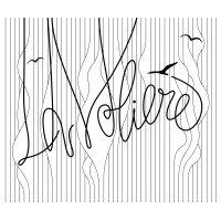 La Volière - Cirque aérien logo - Similar company to Camera Work Gallery