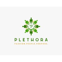 Plethora Foundation logo - Similar company to National Sobering Collaborative