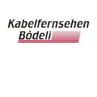 Kabelfernsehen Bödeli AG logo - Similar company to Stpscom