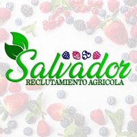 SALVADOR RECLUTAMIENTO AGRICOLA logo - Similar company to Grupo Iap