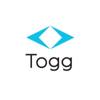 Togg logo - Similar company to Aselsan