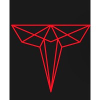 Technisanct logo - Similar company to Aavetech