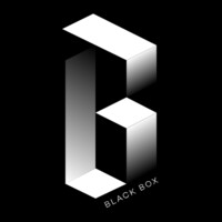 Black Box Management logo - Similar company to Rise Management