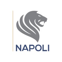 Napoli Consultoria Empresarial logo - Similar company to Fta Consulting