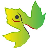 Fundación Sicómoro logo - Similar company to Colegio Oficial De Doctores Y Licenciados En Filosofía Y Letras Y En Ciencias De La Región De Murcia