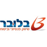 Bluver insurance & financials agency logo - Similar company to Blink Intermediary Solutions