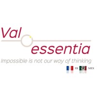 Valessentia Mexico logo - Similar company to Valessentia