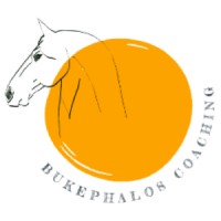 Bukephalos Coaching By Silke Bude