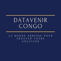 Datavenir Congo logo - Similar company to T-Esoft Group