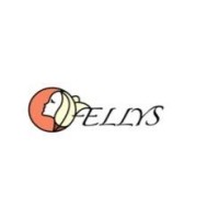 AELLYS logo - Similar company to Hoct&Loca