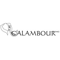 CALAMBOUR S.R.L. logo - Similar company to Your Image Communication