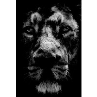 Wineberg Studios logo - Similar company to Insiderdepth