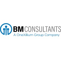 BMconsultants - experts in digitale oplossingen logo - Similar company to Stichting Bospop
