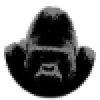 Gorilla Graphics