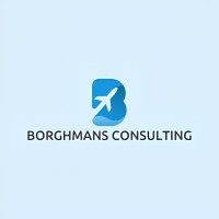 BORGHMANS CONSULTING logo - Similar company to Mecawings