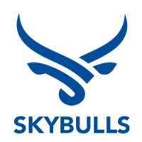 Skybulls logo - Similar company to Valar Capital