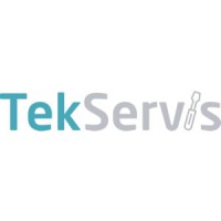 TekServis logo - Similar company to Luin Team
