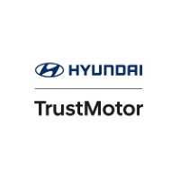 TRUSTMOTOR - HYUNDAI logo - Similar company to Winedtech Sa