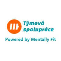 Týmová spolupráce