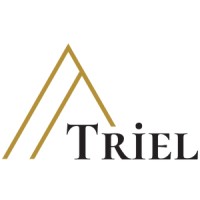 Triel İnşaat logo - Similar company to Kobimedya A.Ş