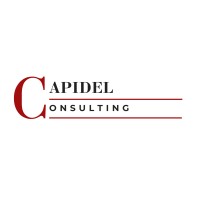 Capidel Consulting logo - Similar company to Clear Future Synergies