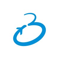 Big Dream Viagens logo - Similar company to Vacari & Co