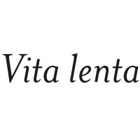 Vita lenta logo - Similar company to Visualage Studio
