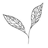 Ohna logo - Similar company to Rush