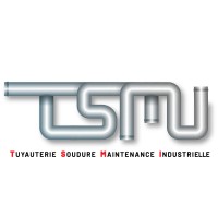 TSMI logo - Similar company to Lip