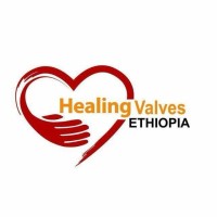 Healing Valves Ethiopia logo - Similar company to Nodeai