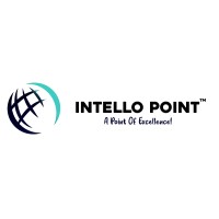 Intellopoint.com logo - Similar company to Worldwide Panel
