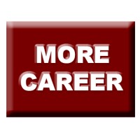Additional Professional Experience