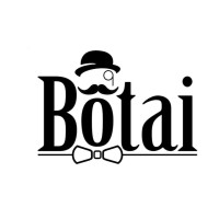 Botai logo - Similar company to Botai Solutions Pvt Ltd