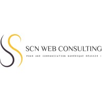 SCN Web Consulting logo - Similar company to While Informatique