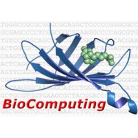 BioComputing UP logo - Similar company to Lemke Lab