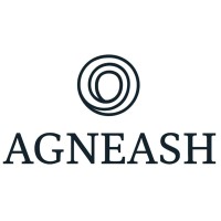 AGNEASH LIMITED logo - Similar company to Partizan Ventures