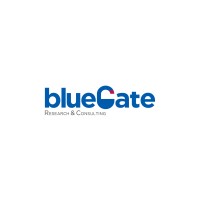 BlueGate Research & Consulting logo - Similar company to The Profiter