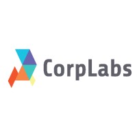 CorpLabs logo - Similar company to Domhub