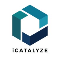 iCatalyze Leadership Development & Coaching, LLC logo - Similar company to Global Women In Public Relations - México
