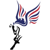 Pegasus Support Services, LLC logo - Similar company to The Sgroup Llc